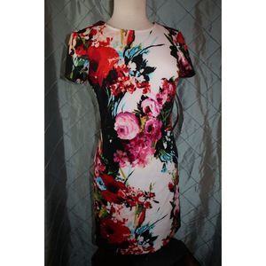 NWT! Sandra Darren Women 6 White Floral Short Sleeve Bodycon Pencil Office Dress